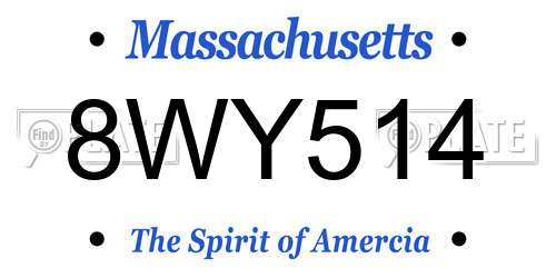 8WY514 Massachusetts License Plate