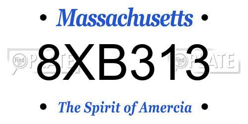 8XB313 Massachusetts License Plate