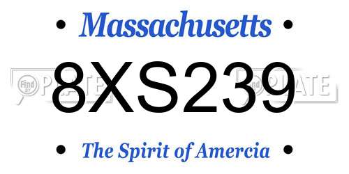 8XS239 Massachusetts License Plate