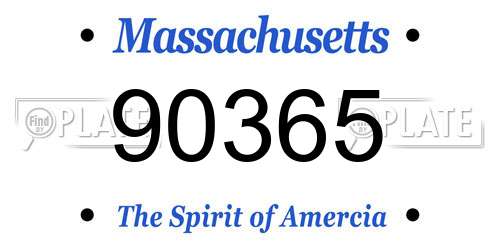 90365 Massachusetts License Plate