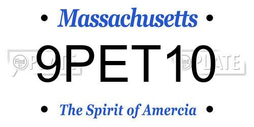 9PET10 Massachusetts License Plate