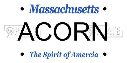 ACORN Massachusetts License Plate