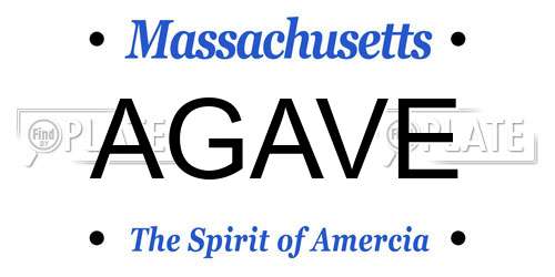 AGAVE Massachusetts License Plate