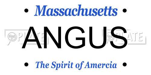 ANGUS Massachusetts License Plate