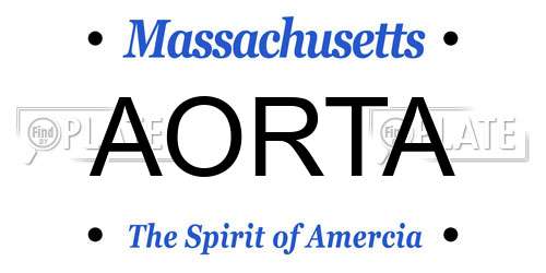 AORTA Massachusetts License Plate