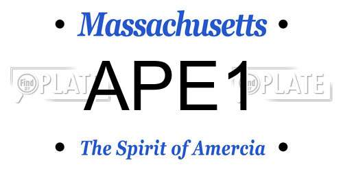 APE1 Massachusetts License Plate