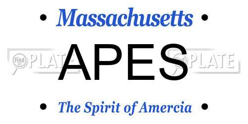 APES Massachusetts License Plate