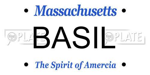 BASIL Massachusetts License Plate