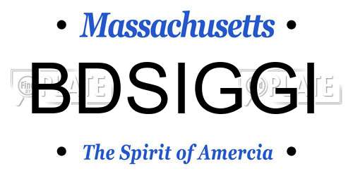 BDSIGGI Massachusetts License Plate