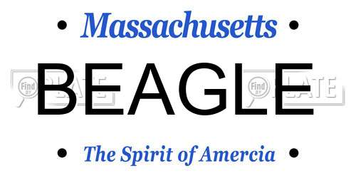 BEAGLE Massachusetts License Plate