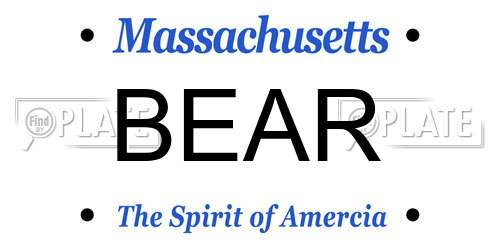 BEAR Massachusetts License Plate