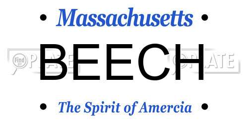 BEECH Massachusetts License Plate