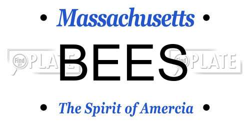 BEES Massachusetts License Plate