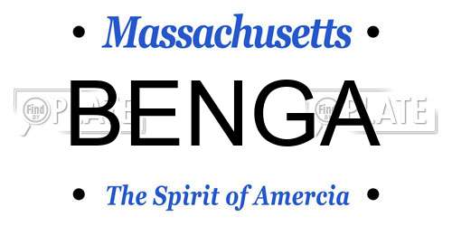 BENGA Massachusetts License Plate