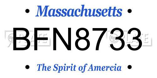 BFN8733 Massachusetts License Plate