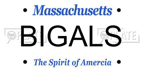 BIGALS Massachusetts License Plate