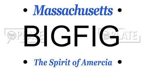 BIGFIG Massachusetts License Plate