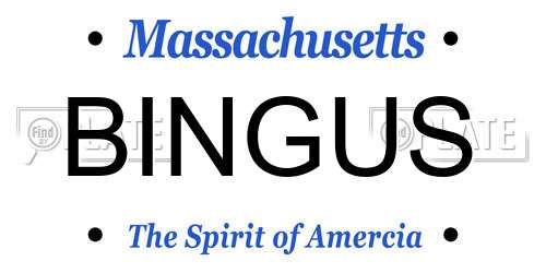 BINGUS Massachusetts License Plate