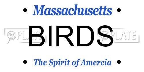 BIRDS Massachusetts License Plate