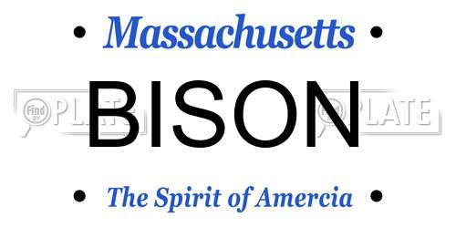 BISON Massachusetts License Plate