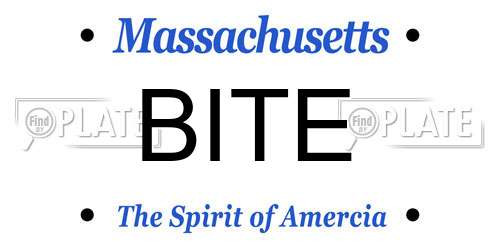 BITE Massachusetts License Plate