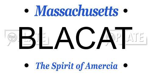 BLACAT Massachusetts License Plate