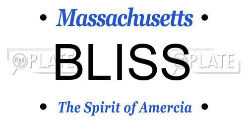 BLISS Massachusetts License Plate