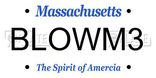 BLOWM3 Massachusetts License Plate