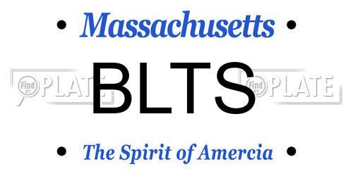 BLTS Massachusetts License Plate