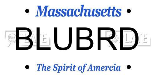 BLUBRD Massachusetts License Plate