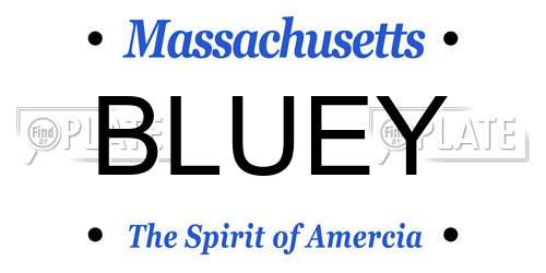 BLUEY Massachusetts License Plate