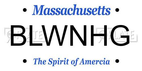 BLWNHG Massachusetts License Plate