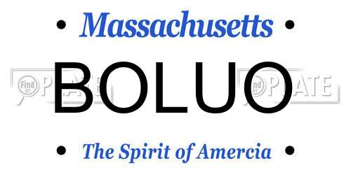 BOLUO Massachusetts License Plate