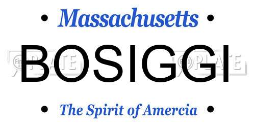 BOSIGGI Massachusetts License Plate