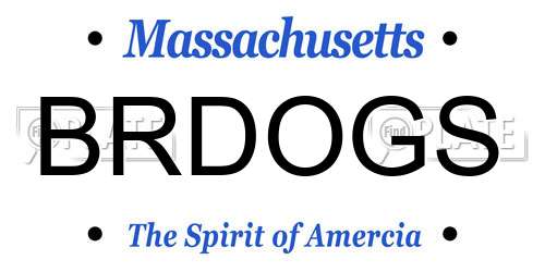 BRDOGS Massachusetts License Plate