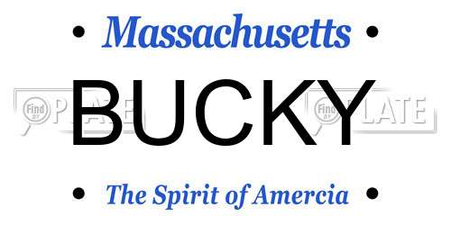 BUCKY Massachusetts License Plate