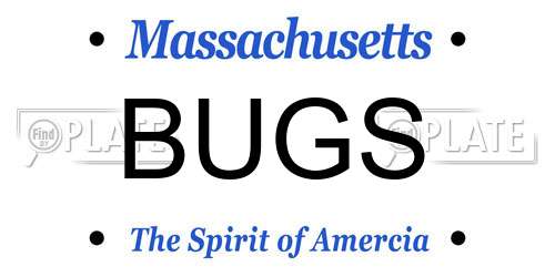 BUGS Massachusetts License Plate