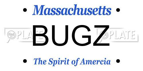 BUGZ Massachusetts License Plate