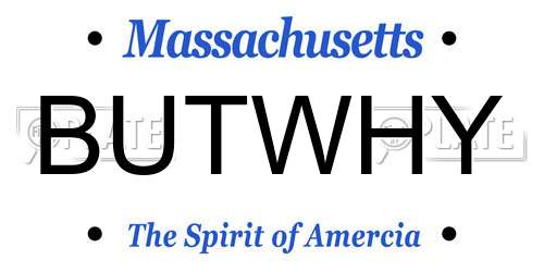 BUTWHY Massachusetts License Plate