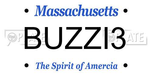BUZZI3 Massachusetts License Plate
