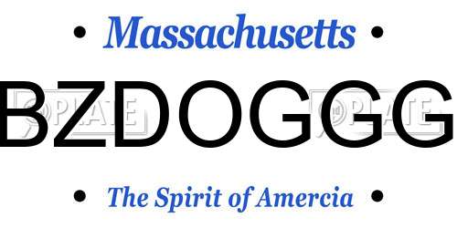 BZDOGGG Massachusetts License Plate