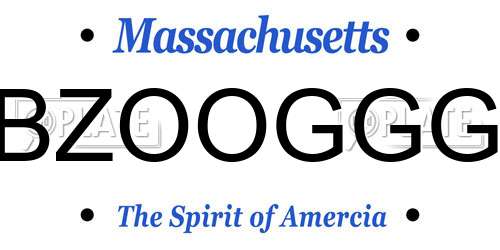 BZOOGGG Massachusetts License Plate