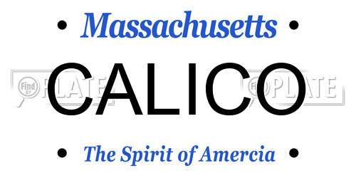 CALICO Massachusetts License Plate