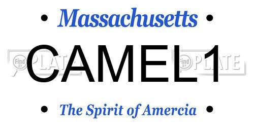 CAMEL1 Massachusetts License Plate