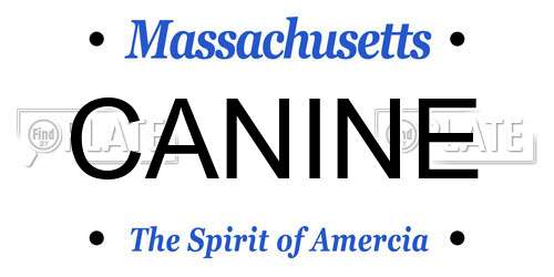 CANINE Massachusetts License Plate