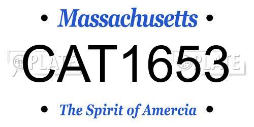 CAT1653 Massachusetts License Plate