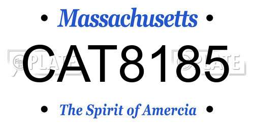 CAT8185 Massachusetts License Plate