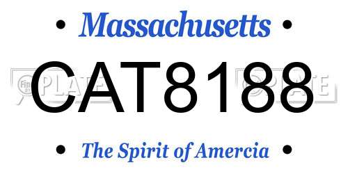 CAT8188 Massachusetts License Plate