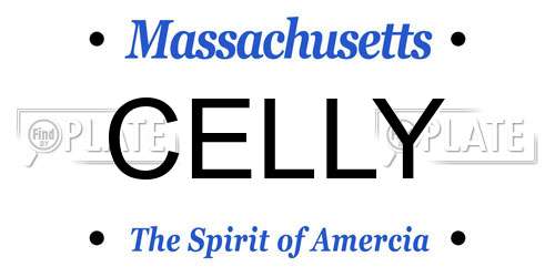 CELLY Massachusetts License Plate