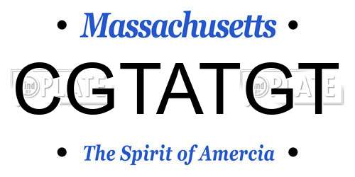 CGTATGT Massachusetts License Plate